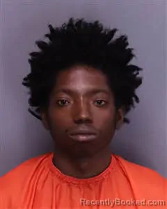 Mugshot of Demarea Keyshawn Robinson booked in Florence County, South Carolina on October 16, 2026