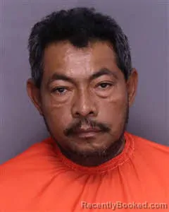 Mugshot of Adonis Arnoldo Alvarado booked in Florence County, South Carolina on October 24, 2026