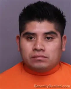 Mugshot of Martin Lopez Guzman booked in Florence County, South Carolina on October 24, 2026
