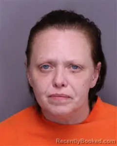 Mugshot of Jill Michelle Levan booked in Florence County, South Carolina on October 28, 2026