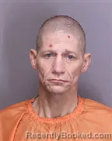 Mugshot of BRYAN ASHLEY DOTSON