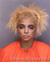 Mugshot of JESSICA RENEE NICE booked in Florence County, South Carolina on July 23, 2026