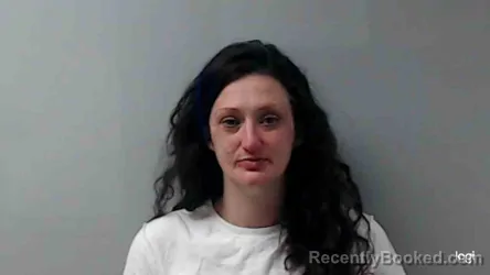 Mugshot of HEATHER ELLIS