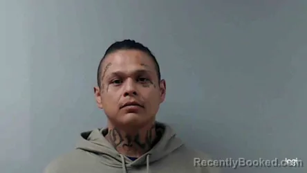 Mugshot of RONALD GONZALES