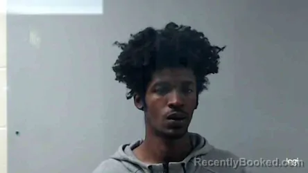 Mugshot of NICOLAS FORD