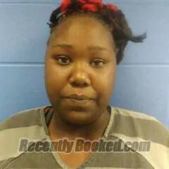 Booking photo from Faulkner County, Arkansas