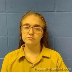 Mugshot of ELEXIS YORK booked in Faulkner County, Arkansas on August 5, 2026