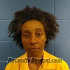 Booking photo from Faulkner County, Arkansas