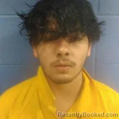 Booking photo from Faulkner County, Arkansas