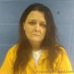 Booking photo from Faulkner County, Arkansas