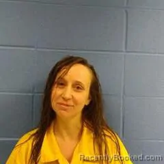 Booking photo from Faulkner County, Arkansas
