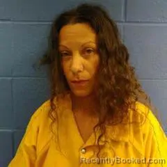 Booking photo from Faulkner County, Arkansas