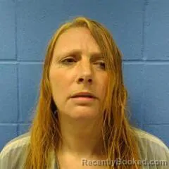 Mugshot of KRISA STANLEY booked in Faulkner County, Arkansas on March 29, 2026