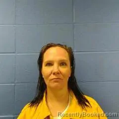 Mugshot of KRYSTAL HOPKINS