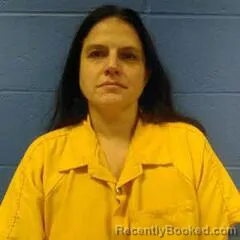 Mugshot of HEIDI BROWN
