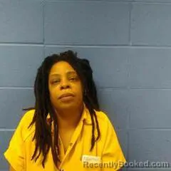 Mugshot of ANITA HORNES booked in Faulkner County, Arkansas on March 14, 2026