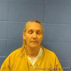 Mugshot of ELIZABETH EARL booked in Faulkner County, Arkansas on March 17, 2026