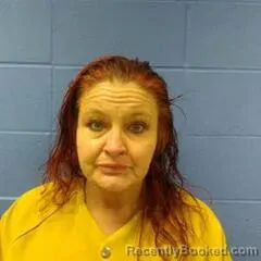 Mugshot of CANDACE ANZOVINO booked in Faulkner County, Arkansas on March 17, 2026