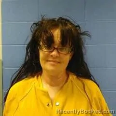 Mugshot of ALYCIA BRADLEY booked in Faulkner County, Arkansas on July 9, 2026