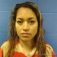 Mugshot of ROSBI ZEPEDA booked in Faulkner County, Arkansas on May 31, 2026