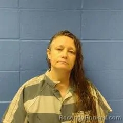 Mugshot of SHIELA TITTLE booked in Faulkner County, Arkansas on June 1, 2026