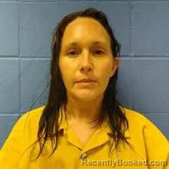 Mugshot of SCARLETT SNYDER booked in Faulkner County, Arkansas on June 3, 2026