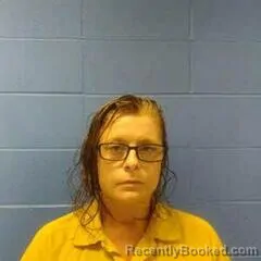 Mugshot of STACY BROWN booked in Faulkner County, Arkansas on June 4, 2026