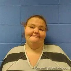 Mugshot of LINDA PRICE booked in Faulkner County, Arkansas on July 2, 2026