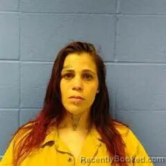 Mugshot of HALEY GAHLINGER booked in Faulkner County, Arkansas on July 9, 2026