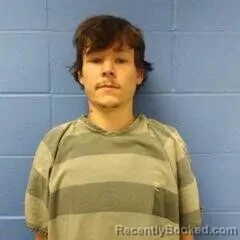 Mugshot of JESSE SWAN booked in Faulkner County, Arkansas on July 12, 2026