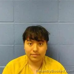 Mugshot of FERNANDA RODAS booked in Faulkner County, Arkansas on July 22, 2026