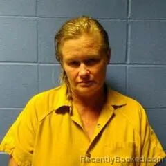 Mugshot of TINA WELLS booked in Faulkner County, Arkansas on July 24, 2026