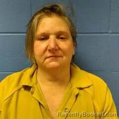 Mugshot of ZINA MCNUTT booked in Faulkner County, Arkansas on July 30, 2026