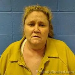 Mugshot of Melissa Mcelroy booked in Faulkner County, Arkansas on August 25, 2026