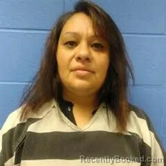 Mugshot of Mayra Villarreal booked in Faulkner County, Arkansas on August 30, 2026
