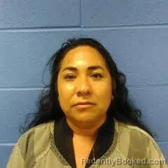 Mugshot of Elvira Avila booked in Faulkner County, Arkansas on September 2, 2026