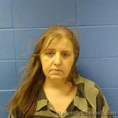 Mugshot of Elizabeth Johnson booked in Faulkner County, Arkansas on September 8, 2026