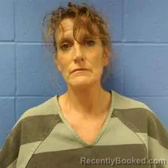 Mugshot of CHLOE BRADLEY booked in Faulkner County, Arkansas on March 25, 2026