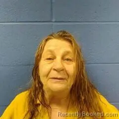 Mugshot of DAWN COLLINS booked in Faulkner County, Arkansas on July 21, 2026
