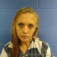 Mugshot of BRANDY HYDE