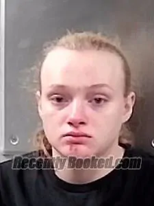 Booking photo from Franklin County, Arkansas