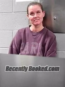 Booking photo from Franklin County, Arkansas