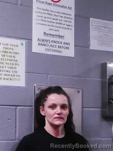 Mugshot of Shelby Lynn Furr