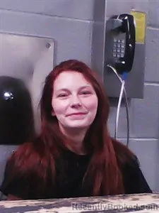 Booking photo from Franklin County, Arkansas