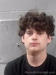 Mugshot of Anthony Drake Brammer