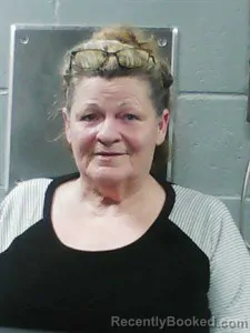 Mugshot of Lori Ann Fulmer