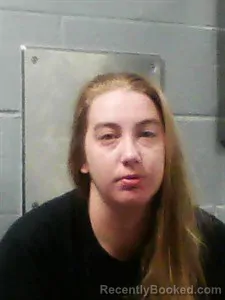 Mugshot of Megan Nicole Callahan