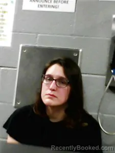 Mugshot of Hailey Kristyne Ireland booked in Franklin County, Arkansas on April 2, 2026