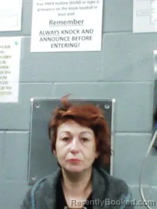 Mugshot of Selena Jo Parsons booked in Franklin County, Arkansas on May 10, 2026