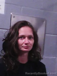 Mugshot of Savanna Darlene Davis booked in Franklin County, Arkansas on May 16, 2026
